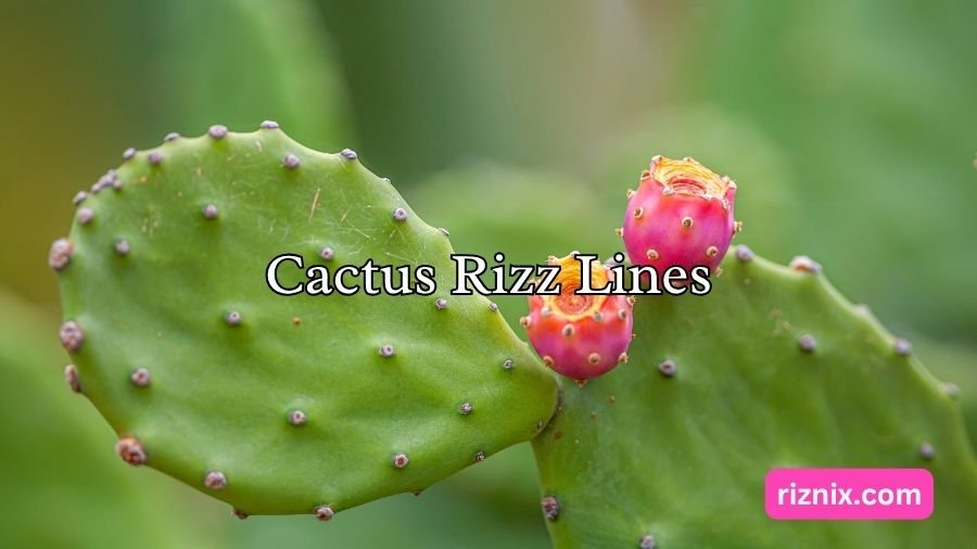 Cactus Rizz Lines