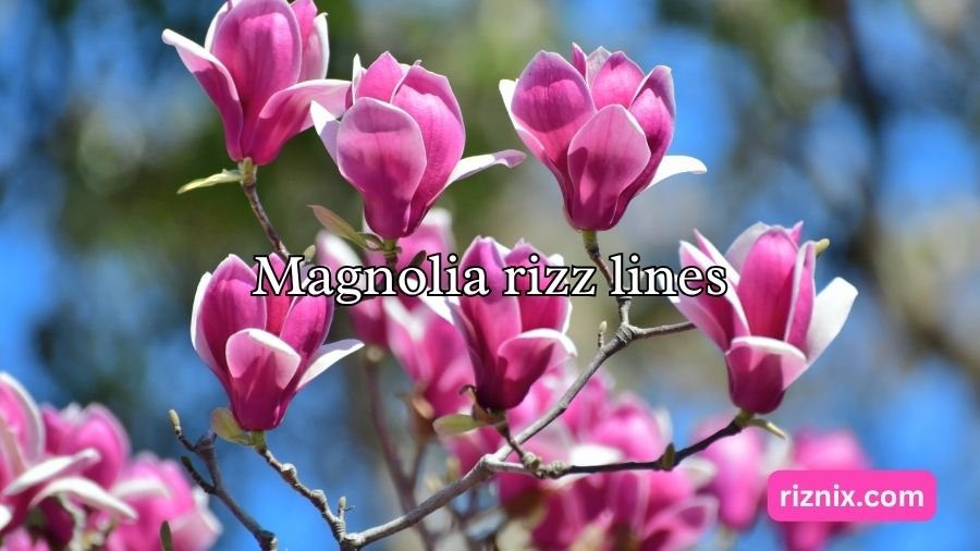 Magnolia rizz lines