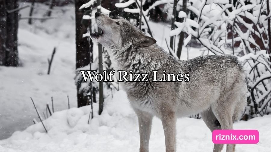 Wolf Rizz Lines
